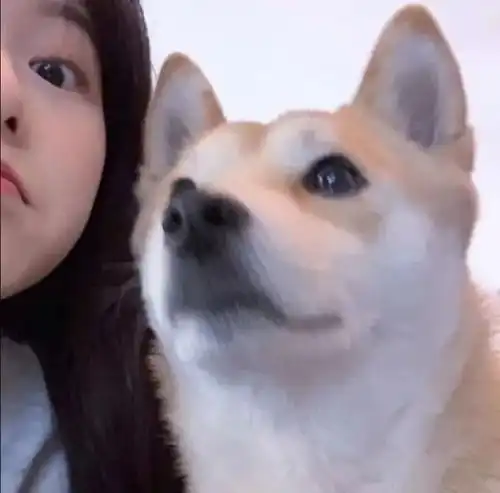  情侣头像你是个可爱又浪漫的麻烦