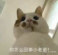  彩铅教程放寒假了,小宝宝们出来画个皮卡丘