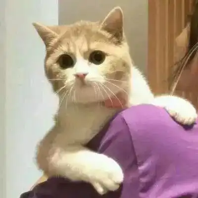  情侣头像集单身狗也可以用哦