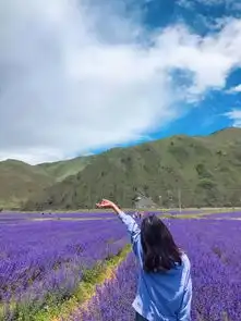  美出天际600亩薰衣草花海免费赏,还有雪山草原看个够,2天就够