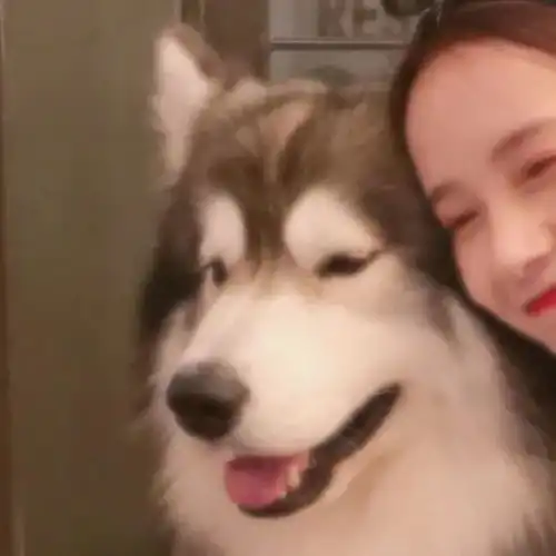  情侣头像你一定不知道吧,我曾偷偷喜欢过你