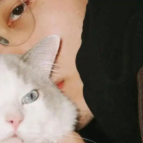 生活不如意支先生高音质在线试听生活不如意歌词歌曲下载酷狗音乐 生活不如意支先生高音质在线试听生活不如意歌词歌曲下载酷狗音乐