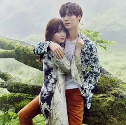  被粉丝绑架的明星夫妻不敢分手不能离婚cp