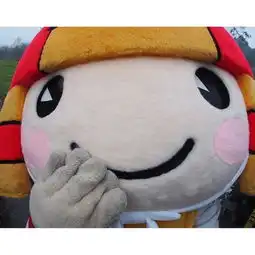  熊本熊基友头像