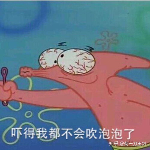 表情包头像派大星