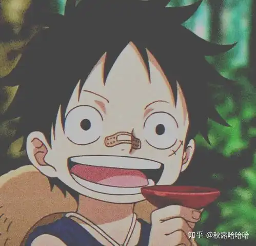 想问一句海贼王的台词,日语原句的,有大神告知一下吗 想问一句海贼王的台词,日语原句的,有大神告知一下吗