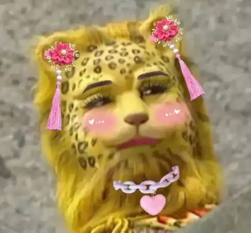  金钱豹火了,这届网友多有才这个梗必定在过年之际大火