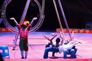 皇家马戏团即将空降海盐吾悦广场,精彩一触即发 皇家马戏团即将空降海盐吾悦广场,精彩一触即发