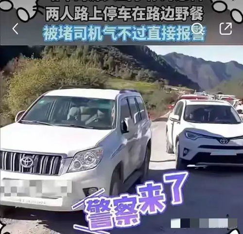  够牛情侣山路停车野餐,无视指责就不开车,没想车牌成最大亮点