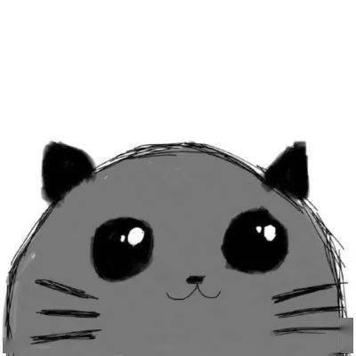 个性头像情侣高清猫咪