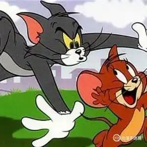  猫和老鼠视频圈子猫和老鼠演员及剧情热门动态爱奇艺泡泡