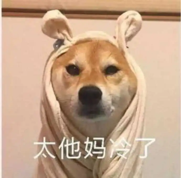  有哪些朋友圈文案沙雕到让人上来就给你一巴掌的