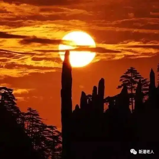 生活过的是心态,人生要的是健康句句经典 生活过的是心态,人生要的是健康句句经典