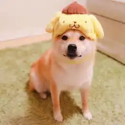 情侣头像精选