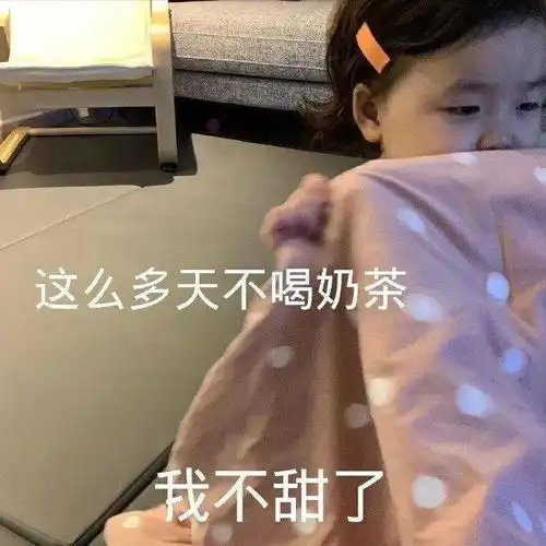  每日精选沙雕表情包
