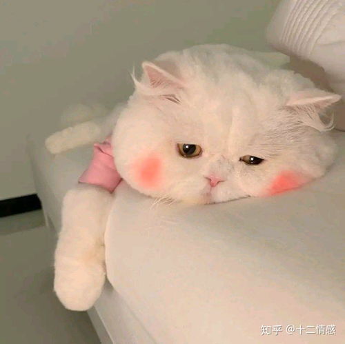  爱上一个比自己大十岁的人怎么办今年我十五岁.唉求求你们骂醒我吧