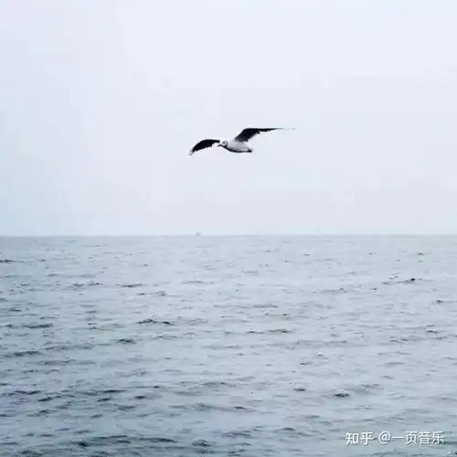  微信头像能反应出一个人的性格特点吗