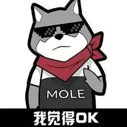  前有怪物猎人后有塞尔达汉化,这日子该咋过