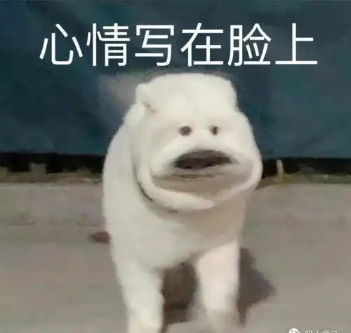  女票要跟你分手的时候如何回复哈哈哈哈哈好像有那个大病