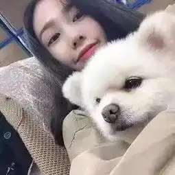  男女生分手前有哪些征兆