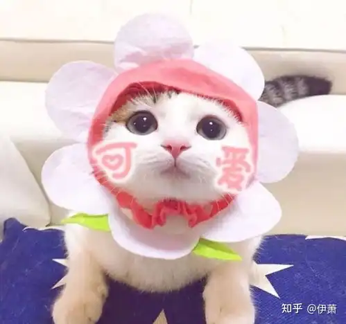  教师招聘的笔试和面试