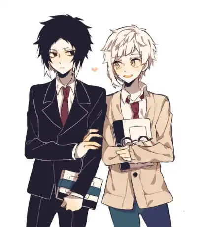  文豪野犬双黑芥敦