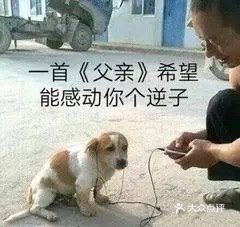  电话,地址,价格,营业时间