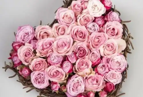  2019情人节攻略火爆来袭,撩妹五部曲,一套全带走