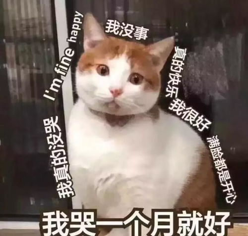 看起来就很开心的头像