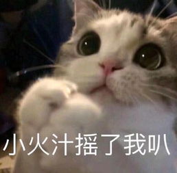  小火龙表情包小火龙微信表情包小火龙qq表情包发表情fabiaoqing.com