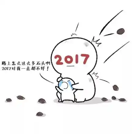  2017年就要结束了,我总结了一下我的这一年