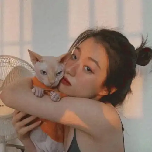  最近收藏的女生壁纸无水印