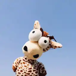  小清新微信背景图