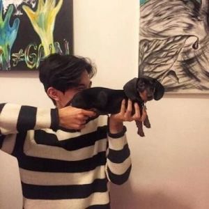  求这张图是不是情侣头像