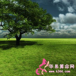  金牛座女生如何巴结未来婆婆