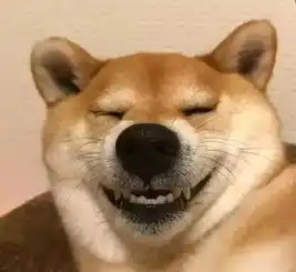 情侣头像不是水印狗狗