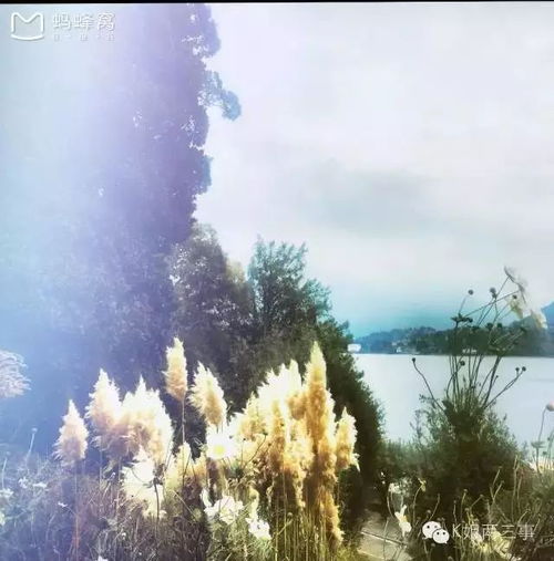  吸引过无数社会名流驻足的lakecomo科莫湖