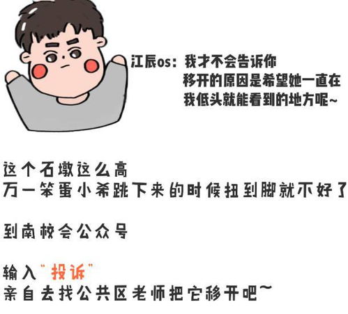  南校园的小美好
