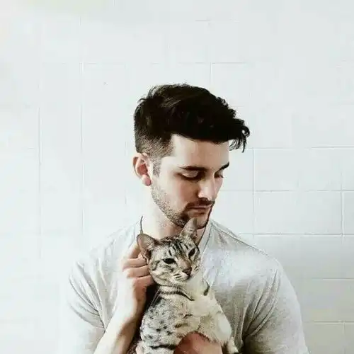 情侣头像男女个抱一只猫,欧美的 情侣头像男女个抱一只猫,欧美的