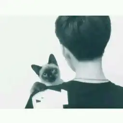  这张图片的另一半情侣头像