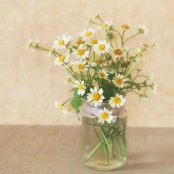 你好,7月10日每个人都有权利一个人,边界清晰才能过得自在道德观爱自己阴暗面网易订阅 你好,7月10日每个人都有权利一个人,边界清晰才能过得自在道德观爱自己阴暗面网易订阅