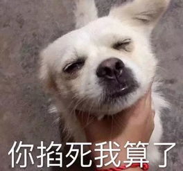  e句话看天下丨贵圈现在流行这种半公开恋情