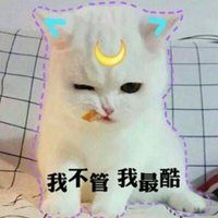  2019微信头像图片大全动物微信头像图片大全
