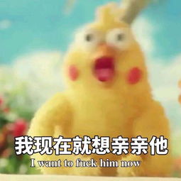  祝天下所有的情侣都是失散多年的兄妹翻唱