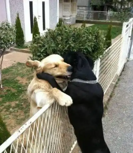  情人节每年都有,2022年2月22日,两百年难遇