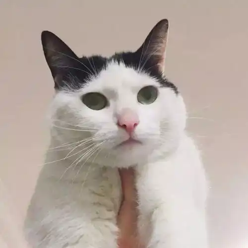  你们要的情侣头像来了