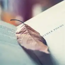 愚钝的人才 愚钝的人才