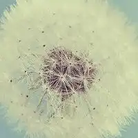  我用三世烟火换你一世迷离头像微信头像图片大全