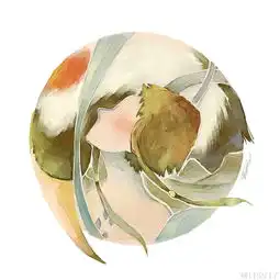  大鱼海棠超可爱q版动漫头像