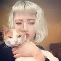  萌宠猫咪情侣头像最新猫咪情侣头像不带人